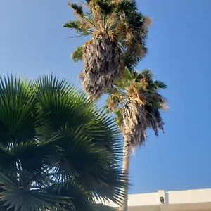 https://sea-shell-palms.greaterantilleshotels.net